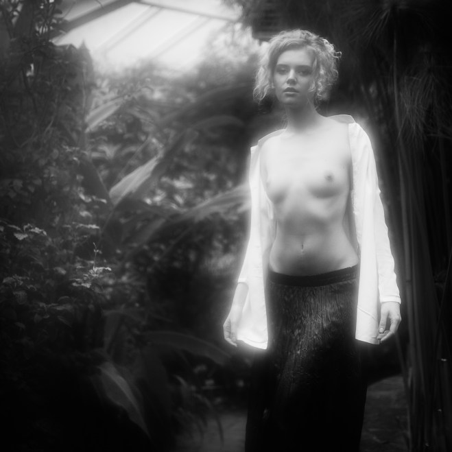 LudwigDesmet_KR-4466