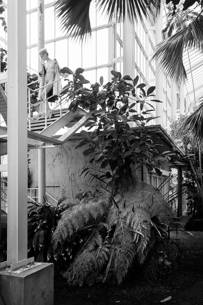 LudwigDesmet_KR-4646