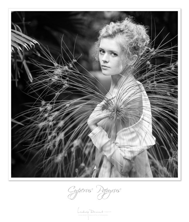 LudwigDesmet_KR_4544